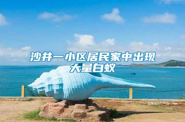 沙井一小区居民家中出现大量白蚁