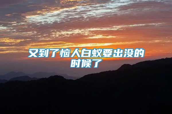 又到了恼人白蚁要出没的时候了