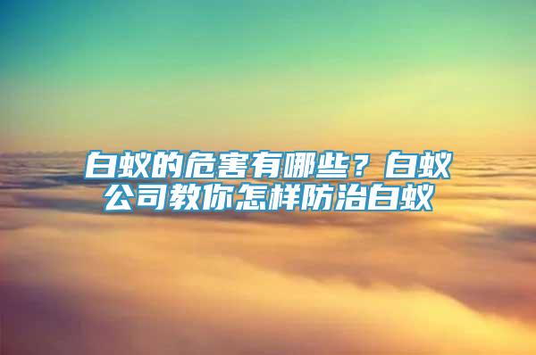 白蚁的危害有哪些？白蚁公司教你怎样防治白蚁