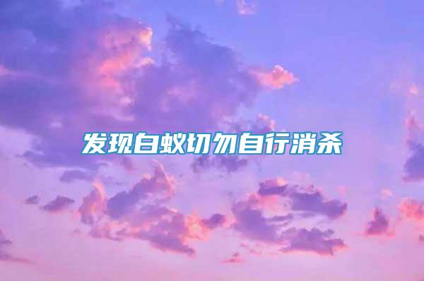 发现白蚁切勿自行消杀