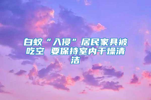 白蚁“入侵”居民家具被吃空 要保持室内干燥清洁