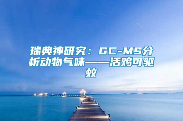 瑞典神研究：GC-MS分析动物气味——活鸡可驱蚊