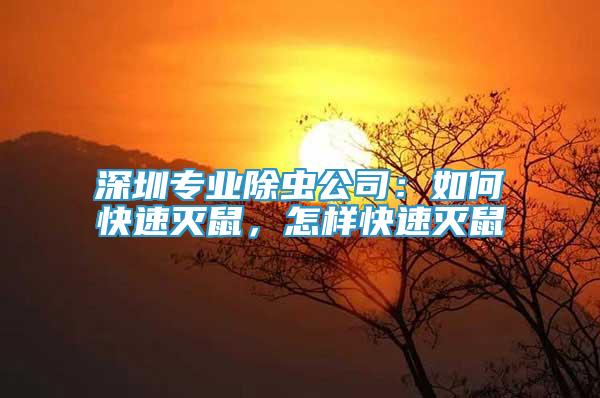 深圳专业除虫公司：如何快速灭鼠，怎样快速灭鼠