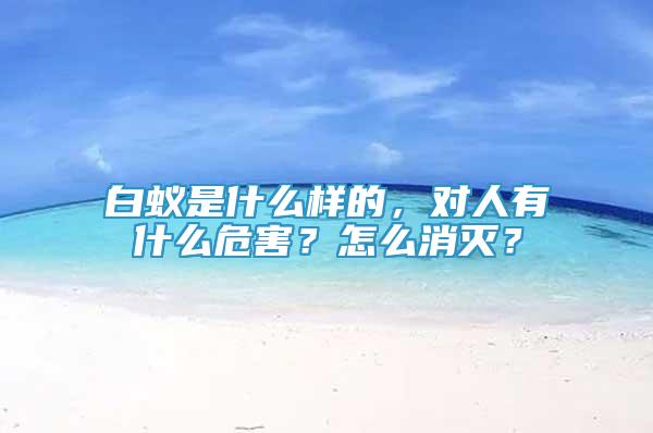 白蚁是什么样的，对人有什么危害？怎么消灭？