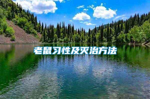 老鼠习性及灭治方法