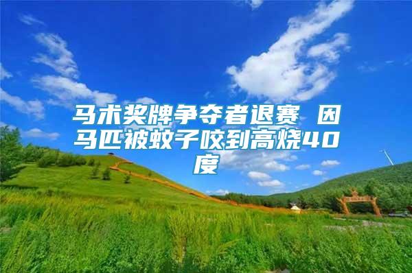 马术奖牌争夺者退赛 因马匹被蚊子咬到高烧40度