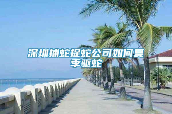 深圳捕蛇捉蛇公司如何夏季驱蛇