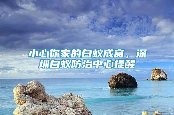 小心你家的白蚁成窝，深圳白蚁防治中心提醒