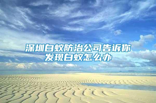 深圳白蚁防治公司告诉你发现白蚁怎么办