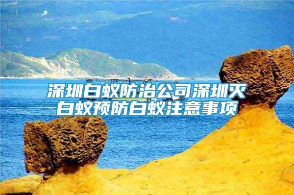 深圳白蚁防治公司深圳灭白蚁预防白蚁注意事项