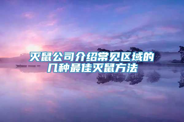 灭鼠公司介绍常见区域的几种最佳灭鼠方法