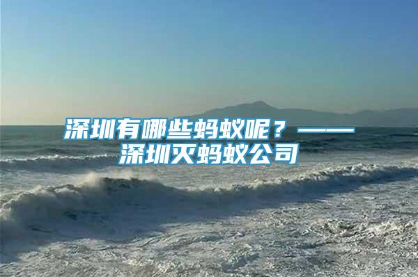 深圳有哪些蚂蚁呢？——深圳灭蚂蚁公司