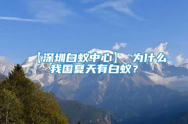 【深圳白蚁中心】 为什么我国夏天有白蚁？