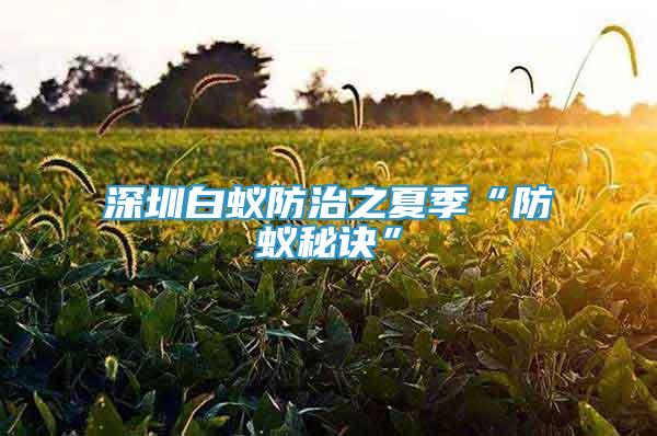 深圳白蚁防治之夏季“防蚁秘诀”