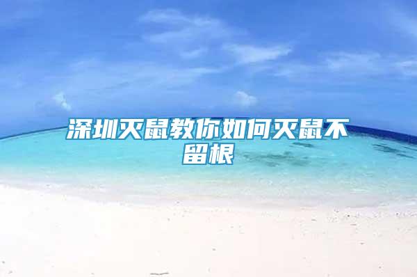 深圳灭鼠教你如何灭鼠不留根