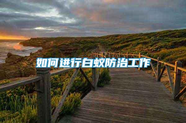 如何进行白蚁防治工作