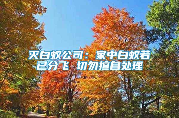 灭白蚁公司：家中白蚁若已分飞 切勿擅自处理