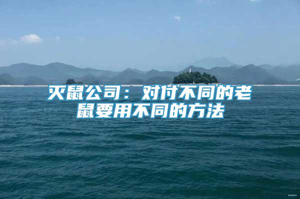 灭鼠公司：对付不同的老鼠要用不同的方法