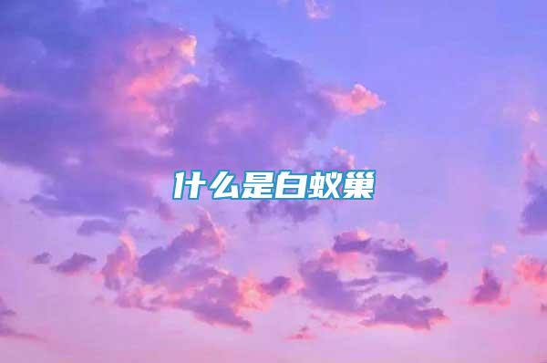 什么是白蚁巢