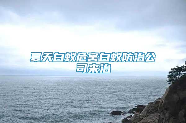 夏天白蚁危害白蚁防治公司来治