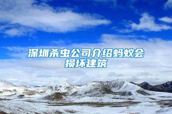 深圳杀虫公司介绍蚂蚁会损坏建筑