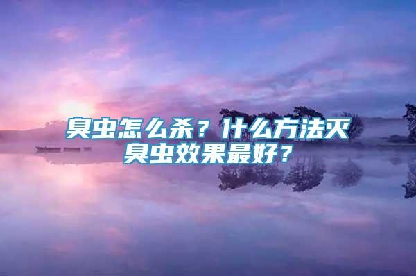 臭虫怎么杀？什么方法灭臭虫效果最好？