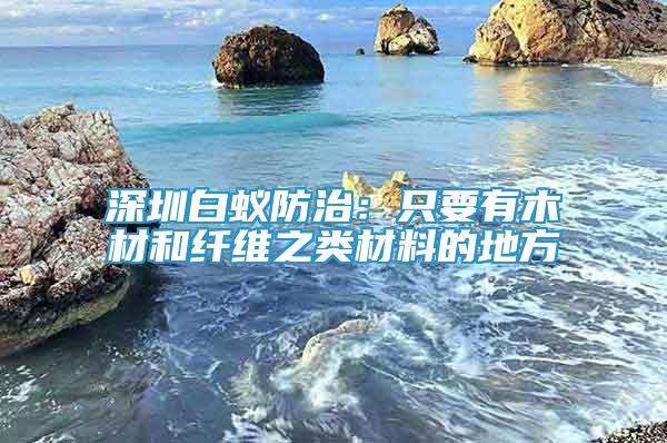 深圳白蚁防治：只要有木材和纤维之类材料的地方