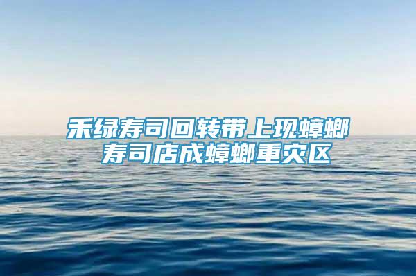 禾绿寿司回转带上现蟑螂 寿司店成蟑螂重灾区