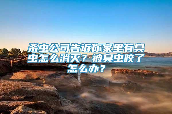 杀虫公司告诉你家里有臭虫怎么消灭？被臭虫咬了怎么办？