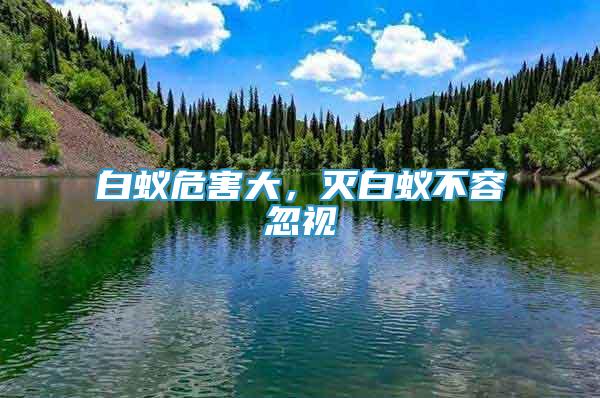 白蚁危害大，灭白蚁不容忽视