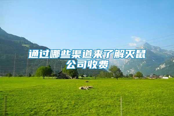 通过哪些渠道来了解灭鼠公司收费