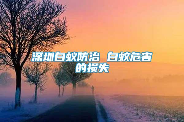 深圳白蚁防治 白蚁危害的损失