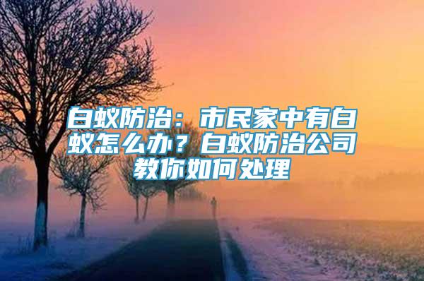 白蚁防治：市民家中有白蚁怎么办？白蚁防治公司教你如何处理