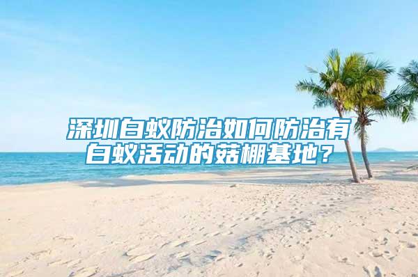 深圳白蚁防治如何防治有白蚁活动的菇棚基地？