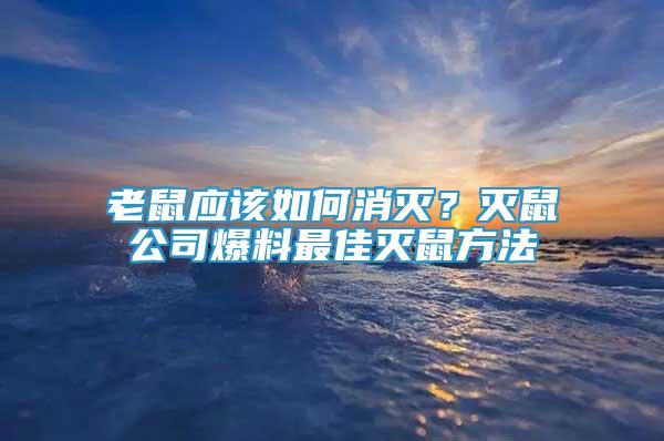 老鼠应该如何消灭？灭鼠公司爆料最佳灭鼠方法