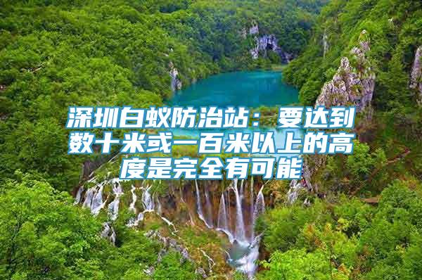 深圳白蚁防治站：要达到数十米或一百米以上的高度是完全有可能