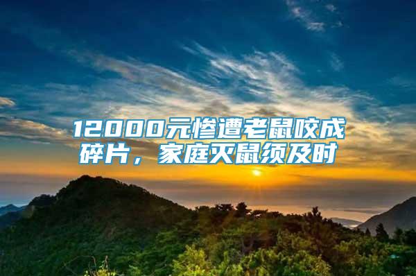 12000元惨遭老鼠咬成碎片，家庭灭鼠须及时