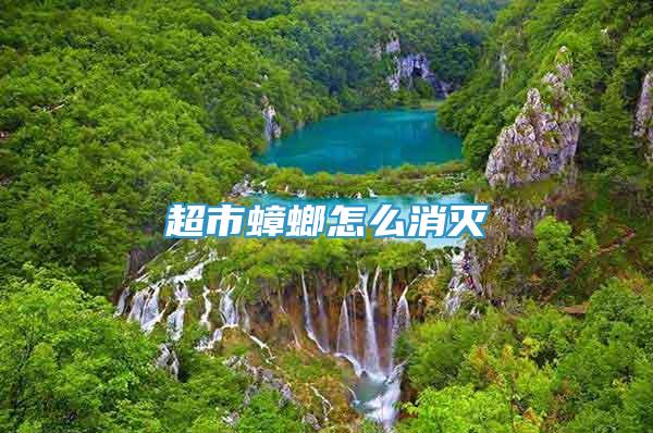 超市蟑螂怎么消灭