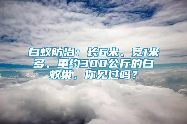 白蚁防治：长6米、宽1米多、重约300公斤的白蚁巢，你见过吗？