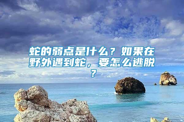 蛇的弱点是什么？如果在野外遇到蛇，要怎么逃脱？