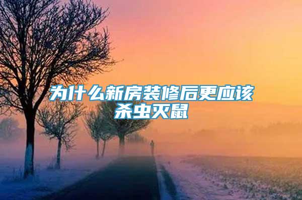 为什么新房装修后更应该杀虫灭鼠