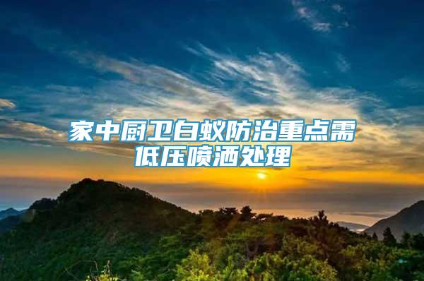 家中厨卫白蚁防治重点需低压喷洒处理