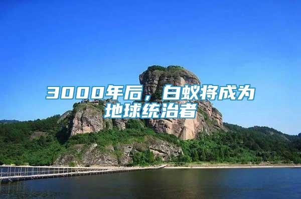 3000年后，白蚁将成为地球统治者