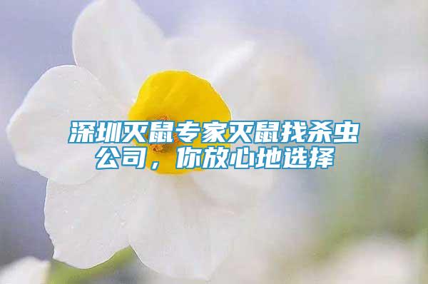 深圳灭鼠专家灭鼠找杀虫公司，你放心地选择