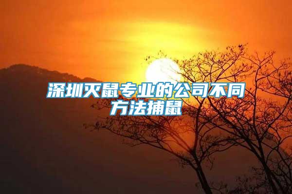 深圳灭鼠专业的公司不同方法捕鼠