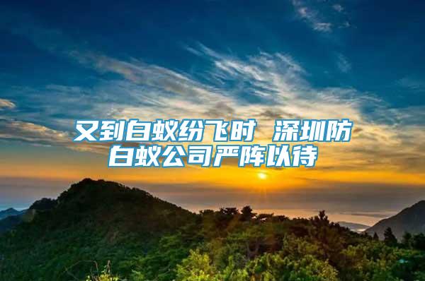 又到白蚁纷飞时 深圳防白蚁公司严阵以待