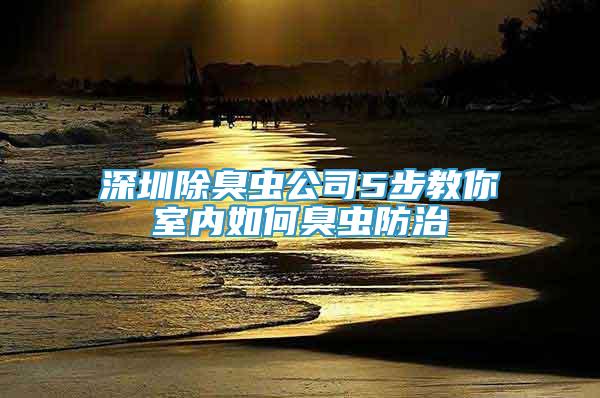 深圳除臭虫公司5步教你室内如何臭虫防治