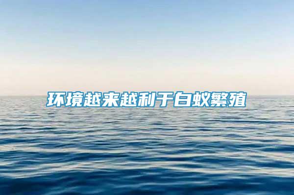 环境越来越利于白蚁繁殖