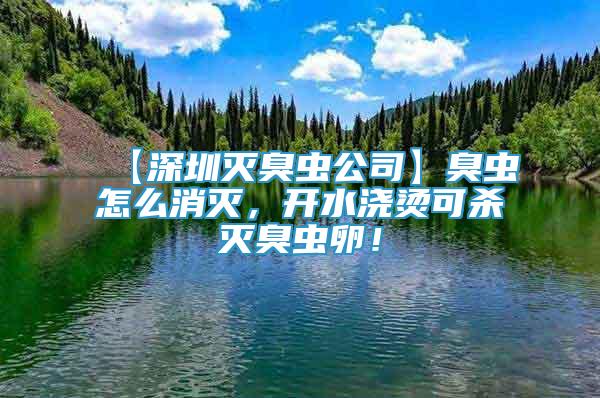 【深圳灭臭虫公司】臭虫怎么消灭，开水浇烫可杀灭臭虫卵！