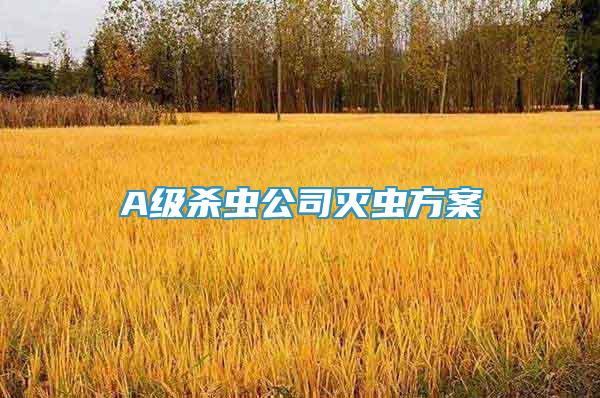 A级杀虫公司灭虫方案